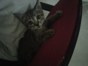 IMG00869-20110821-1956