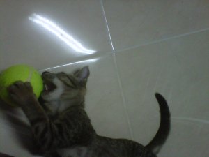 IMG00933-20110912-2024