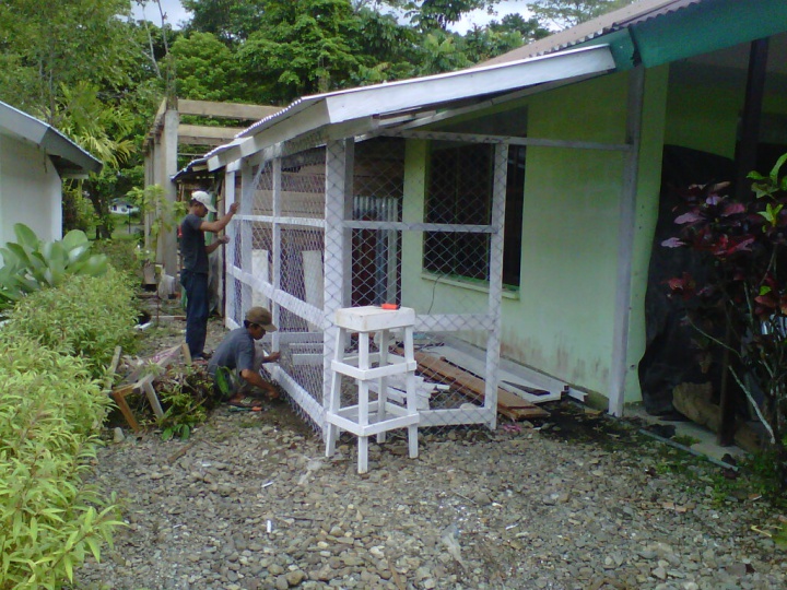 Kang Oji mengerjakan rumah kucing