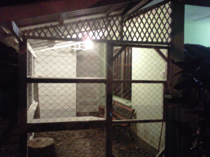 Sudah jadi. Semalam sebelum kucing2 mulai masuk.